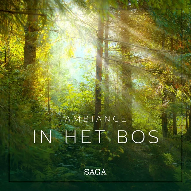 Ambiance - In het Bos - Rasmus Broe - Saga Egmont International