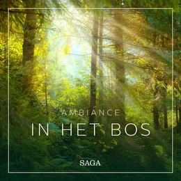 Ambiance - In het Bos