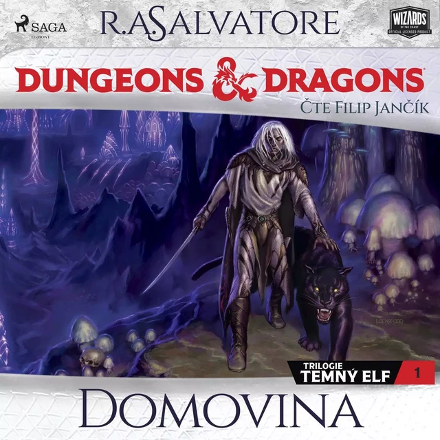 Dungeons & Dragons. Legenda o Drizztovi. Temný elf 1: Domovina - R.A. Salvatore - Saga Egmont International