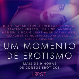 Um momento de erotismo: Mais de 9 horas de contos eróticos