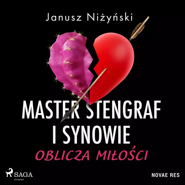 Master Stengraf i synowie. Oblicza miłości - Janusz Niżyński - Saga Egmont International