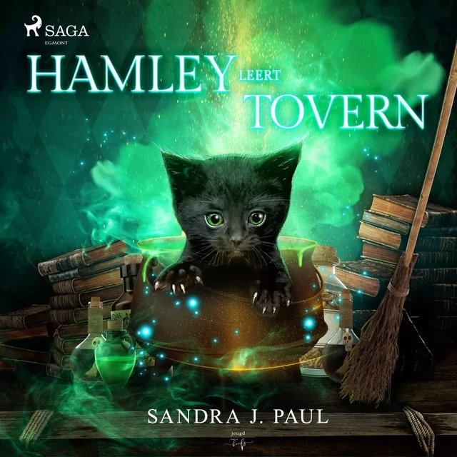 Hamley leert toveren - Sandra J. Paul - Saga Egmont International