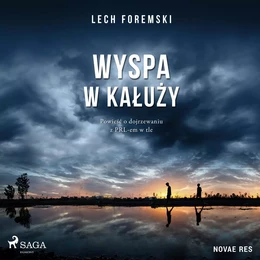 Wyspa w kałuży