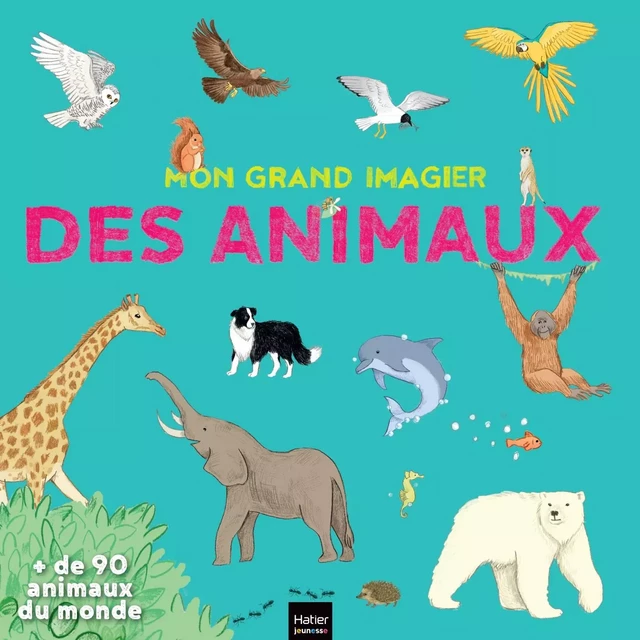 Mon grand imagier des animaux - Stéphanie Rubini - Hatier Jeunesse