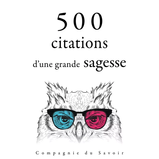 500 citations d'une grande sagesse - Mère Teresa, Martin Luther King, Marc Aurèle, Mahatma Gandhi, Gautama Bouddha - Saga Egmont French