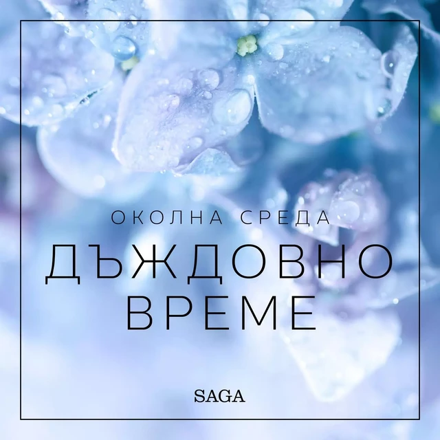 Околна среда – ДЪждовно време - Размус Брьо - Saga Egmont International