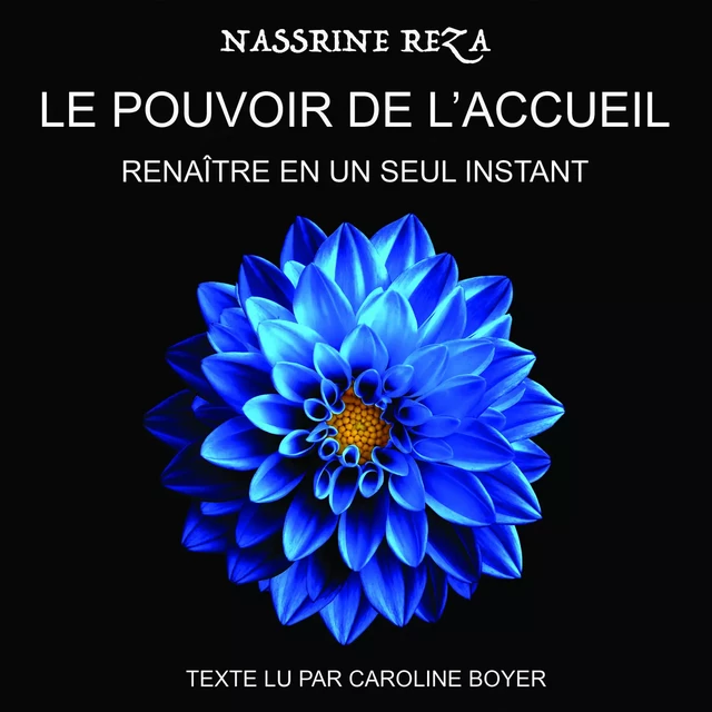 Le pouvoir de l'accueil - Nassrine Reza, Caroline Boyer - SGNT MEDIA