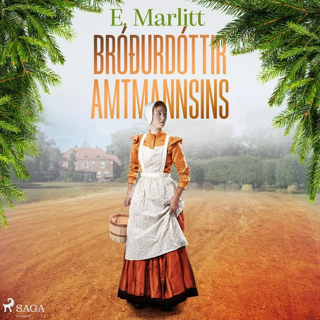 Bróðurdóttir amtmannsins - E. Marlitt - Saga Egmont International