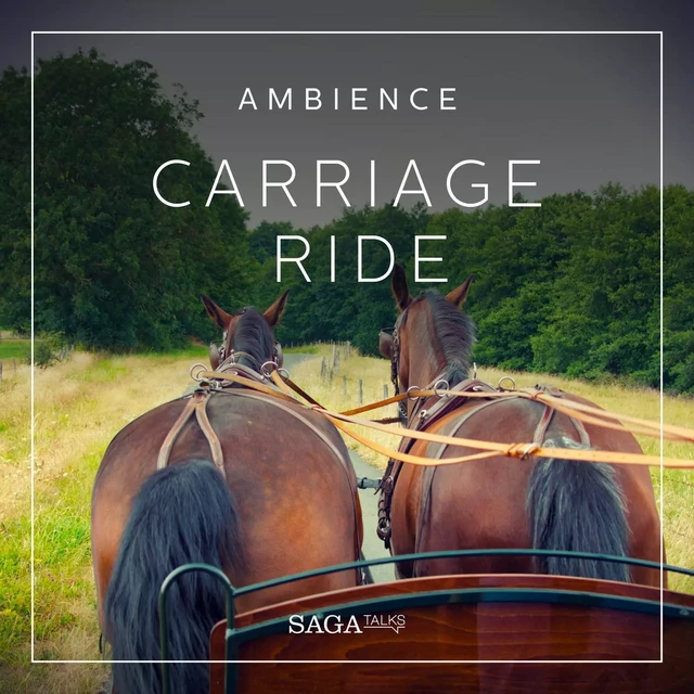 Ambience - Carriage ride - Rasmus Broe - Saga Egmont International