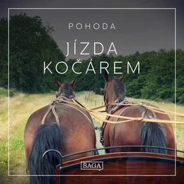 Pohoda - Jízda kočárem