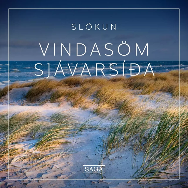 Slökun - Vindasöm sjávarsíða - Rasmus Broe - Saga Egmont International