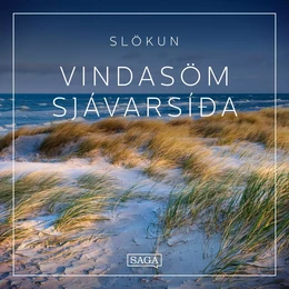 Slökun - Vindasöm sjávarsíða