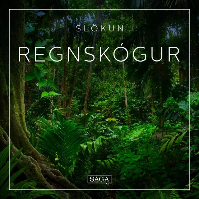 Slökun - Regnskógur - Rasmus Broe - Saga Egmont International