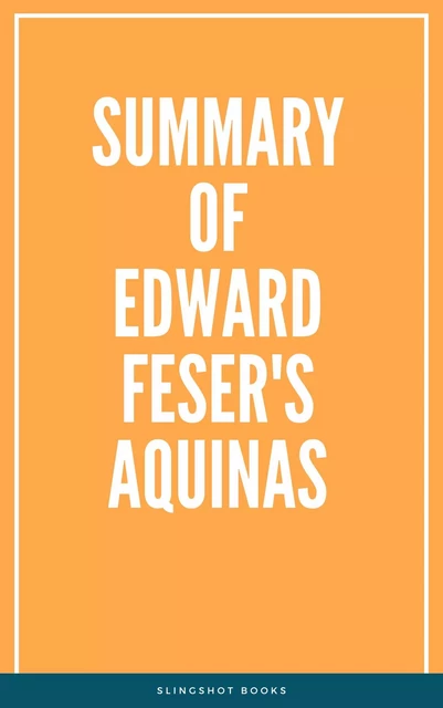 Summary of Edward Feser's Aquinas -  Slingshot Books - Slingshot Books