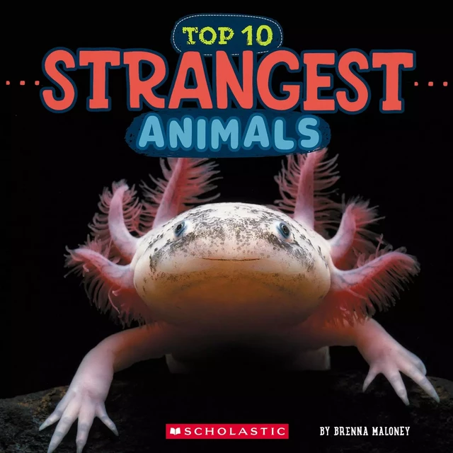 Top Ten Strangest Animals (Wild World) - Brenna Maloney - Scholastic Inc.