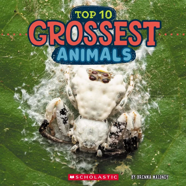 Top Ten Grossest Animals (Wild World) - Brenna Maloney - Scholastic Inc.