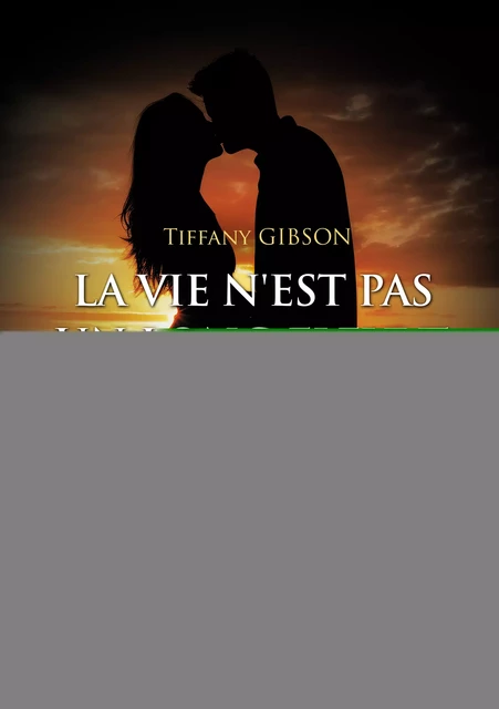 La vie n'est pas un long fleuve tranquille – Père et fille : Volume 3 - Gibson Tiffany - Éditions Baudelaire