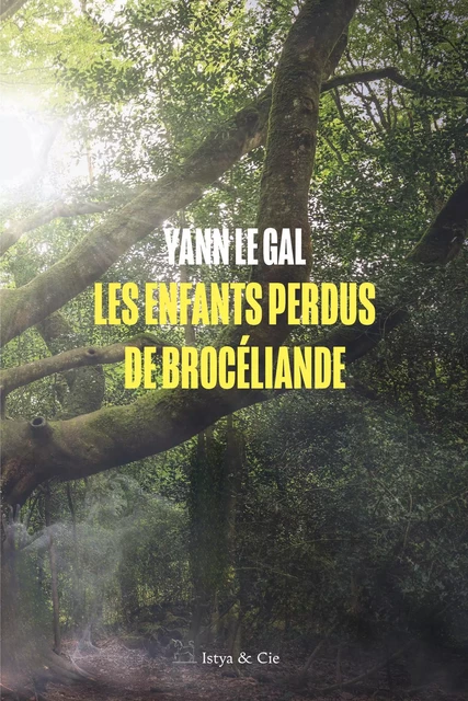 Les enfants perdus de Brocéliande - Yann Le Gal - Slatkine