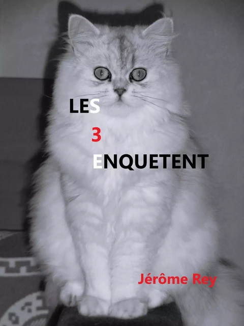 Les 3 enquêtent - Jérôme Rey - Librinova