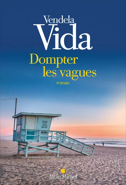 Dompter les vagues - Vendela Vida - Albin Michel