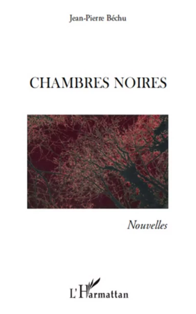 CHAMBRES NOIRES - Jean-Pierre Bechu - Editions L'Harmattan