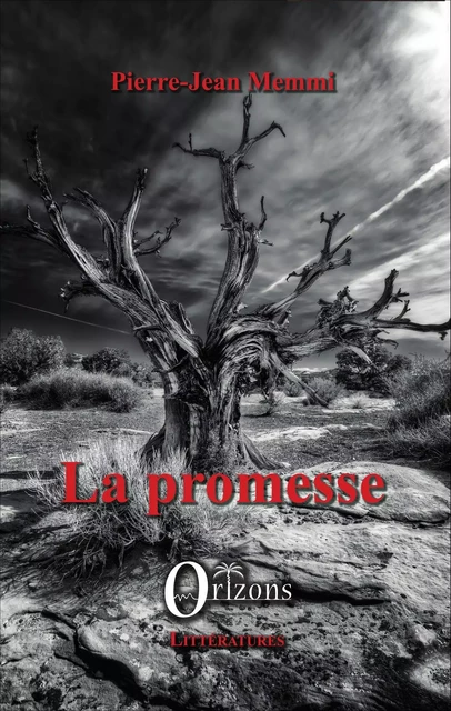 La promesse - Pierre-Jean Memmi - Editions Orizons