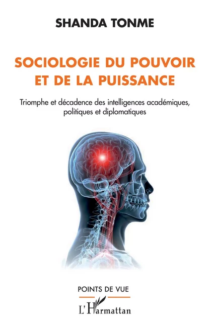 Sociologie du pouvoir et de la puissance - Jean-Claude Shanda Tonme - Editions L'Harmattan