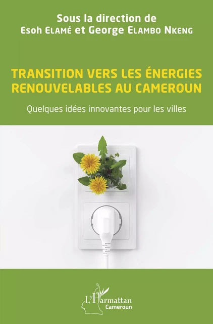 Transition vers les énergies renouvelables au Cameroun - Esoh Elamé, George Elambo Nkeng - Editions L'Harmattan