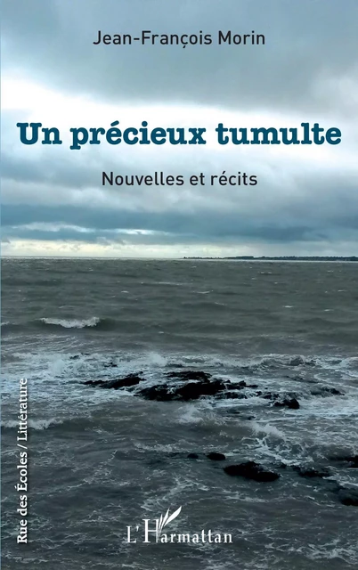 Un précieux tumulte - Jean-François Morin - Editions L'Harmattan