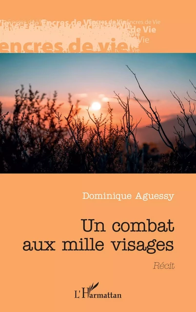 Un combat aux mille visages - Dominique Aguessy - Editions L'Harmattan