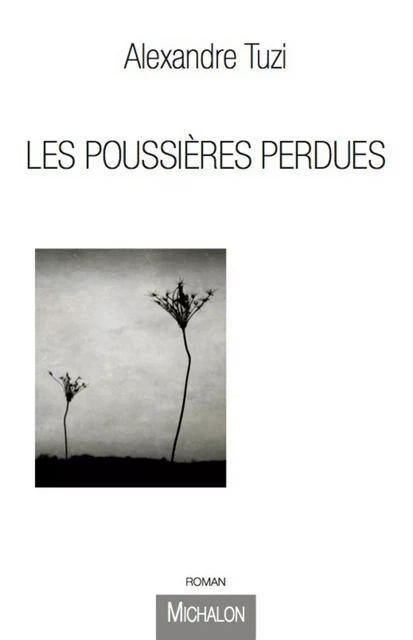 Les Poussières perdues - Alexandre Tuzi - Michalon