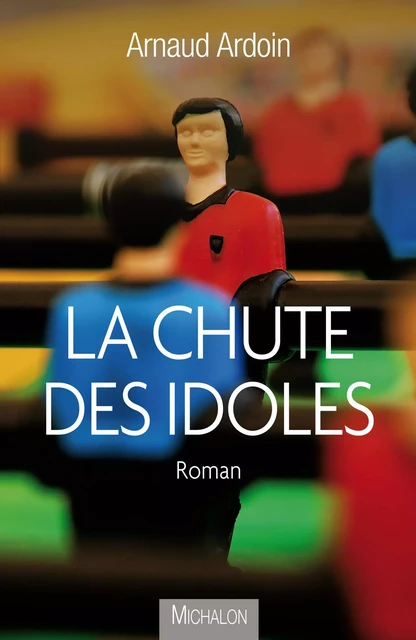 La chute des idoles - Arnaud Ardoin - Michalon