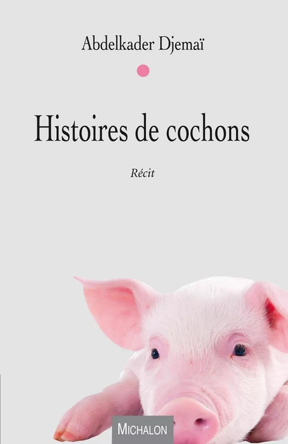 Histoires de cochons - Abdelkader Djemaï - Michalon