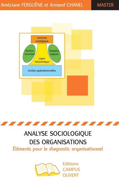 Analyse sociologique des organisations - Améziane Ferguène, Armand Chanel - Editions Campus Ouvert