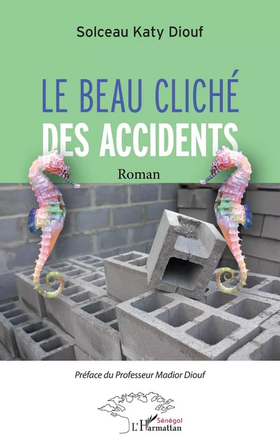 Le beau cliché des accidents - Solceau Katy Diouf - Editions L'Harmattan