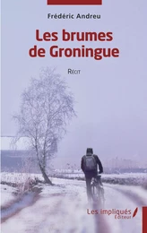 Les brumes de Groningue