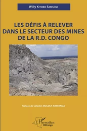 Les défis à relever dans le secteur des mines de la R.D. Congo