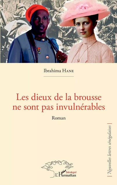 Les dieux de la brousse ne sont pas invulnérables - Ibrahima Hane - Harmattan Sénégal