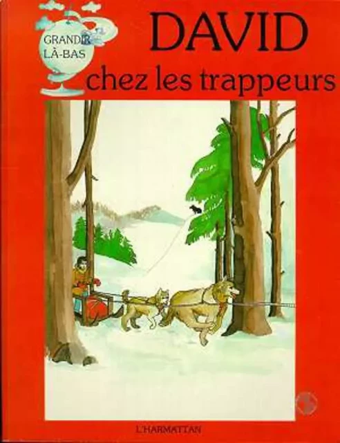 David chez les trappeurs -  - Editions L'Harmattan