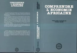 Comprendre l'économie africaine