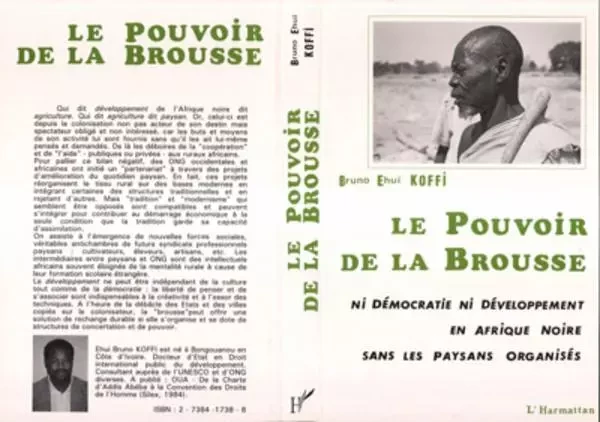 Le pouvoir de la brousse - Bruno Ehui Koffi - Editions L'Harmattan