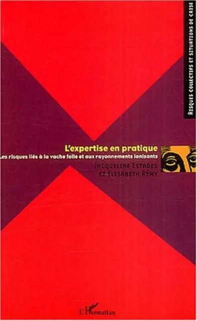 L'expertise en pratique - Élisabeth Rémy, Jacqueline Estades - Editions L'Harmattan