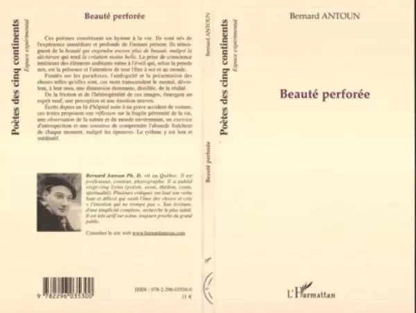 Beauté perforée - Bernard Anton - Editions L'Harmattan