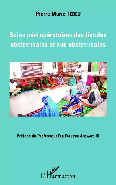 Soins péri opératoires des fistules obstétricales et non obstétricales - Pierre Marie Tebeu - Editions L'Harmattan