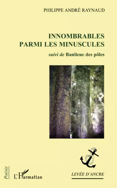 Innombrables parmi les minuscules - Philippe André Raynaud - Editions L'Harmattan