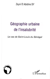 Géographie urbaine de l'insalubrité