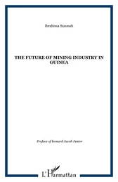 The future of Mining Industry in Guinea