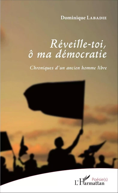 Réveille-toi, ô ma démocratie - Dominique Labadie - Editions L'Harmattan