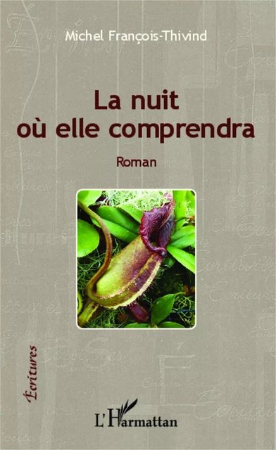 La nuit où elle comprendra - Michel François-Thivind - Editions L'Harmattan