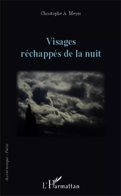 Visages réchappés de la nuit - Christophe A. Meyer - Editions L'Harmattan